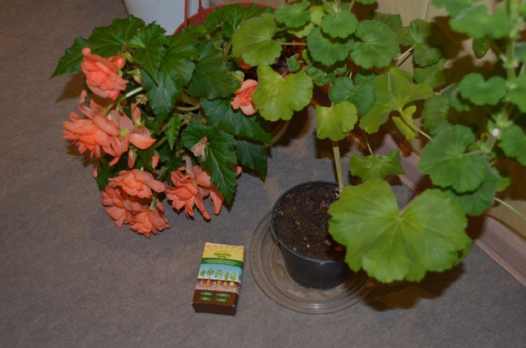 АгроМакс в Москве в Москве