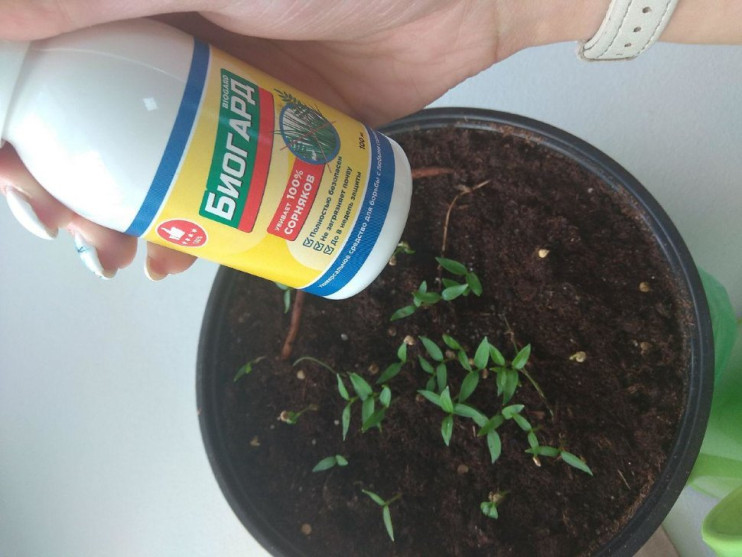 Биогард в Москве