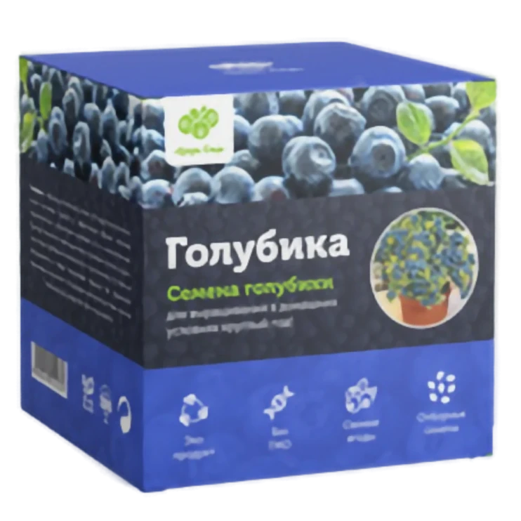 Голубика Денис Блю в Туле