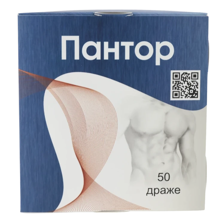 Пантор в Костроме