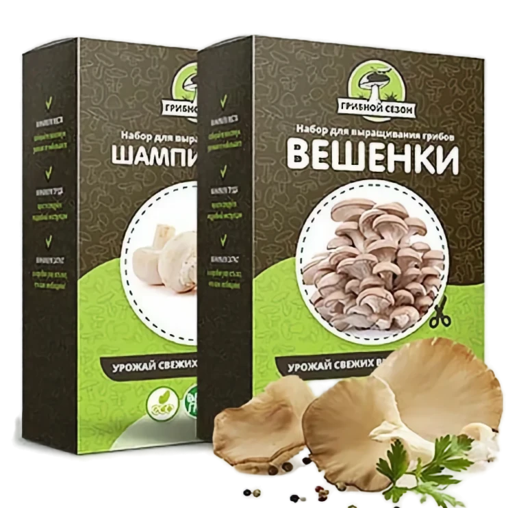 Домашняя грибница в Череповеце в Череповеце