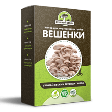 Домашняя грибница