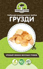 Домашняя грибница