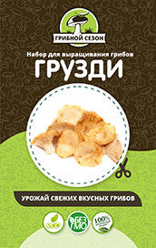 Домашняя грибница в Череповеце в Череповеце