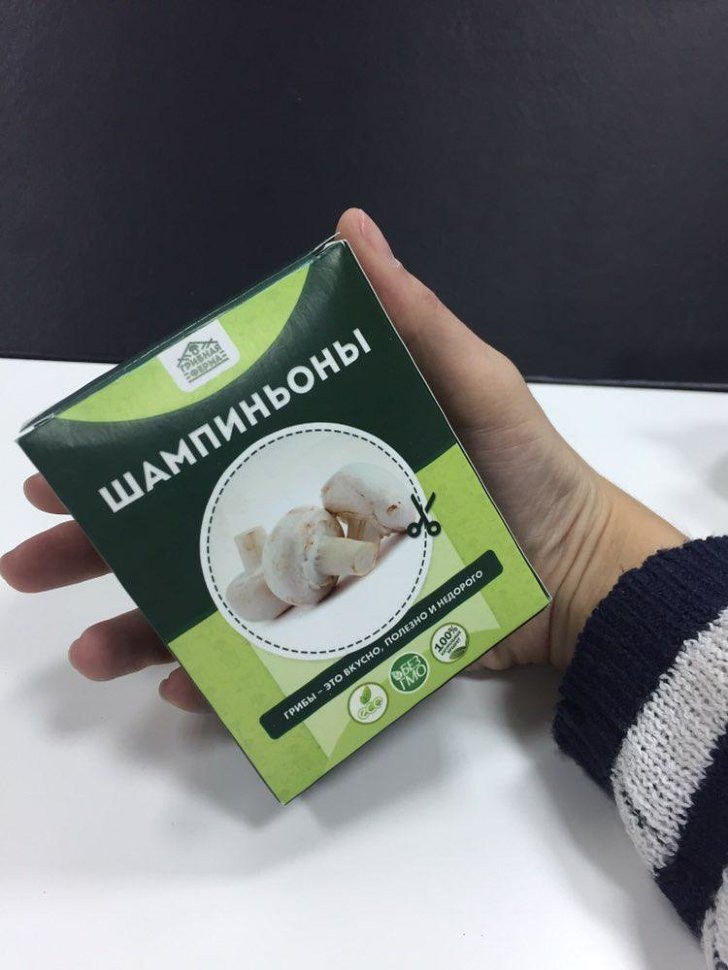 Домашняя грибница в Череповеце в Череповеце