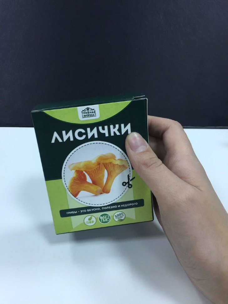 Домашняя грибница в Череповеце в Череповеце