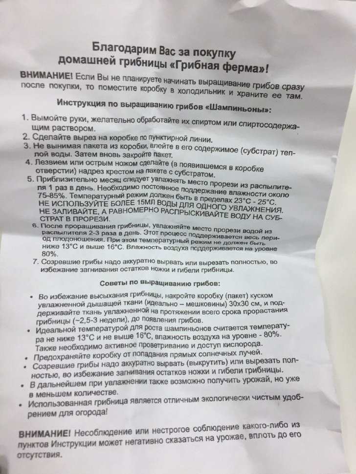 Домашняя грибница в Череповеце в Череповеце