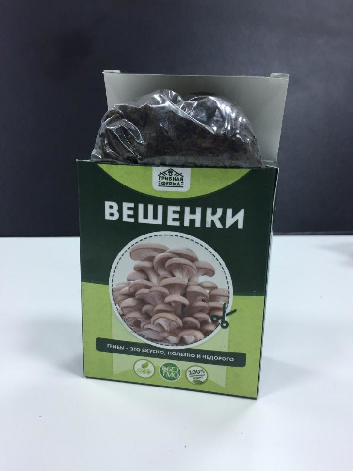 Домашняя грибница в Череповеце в Череповеце