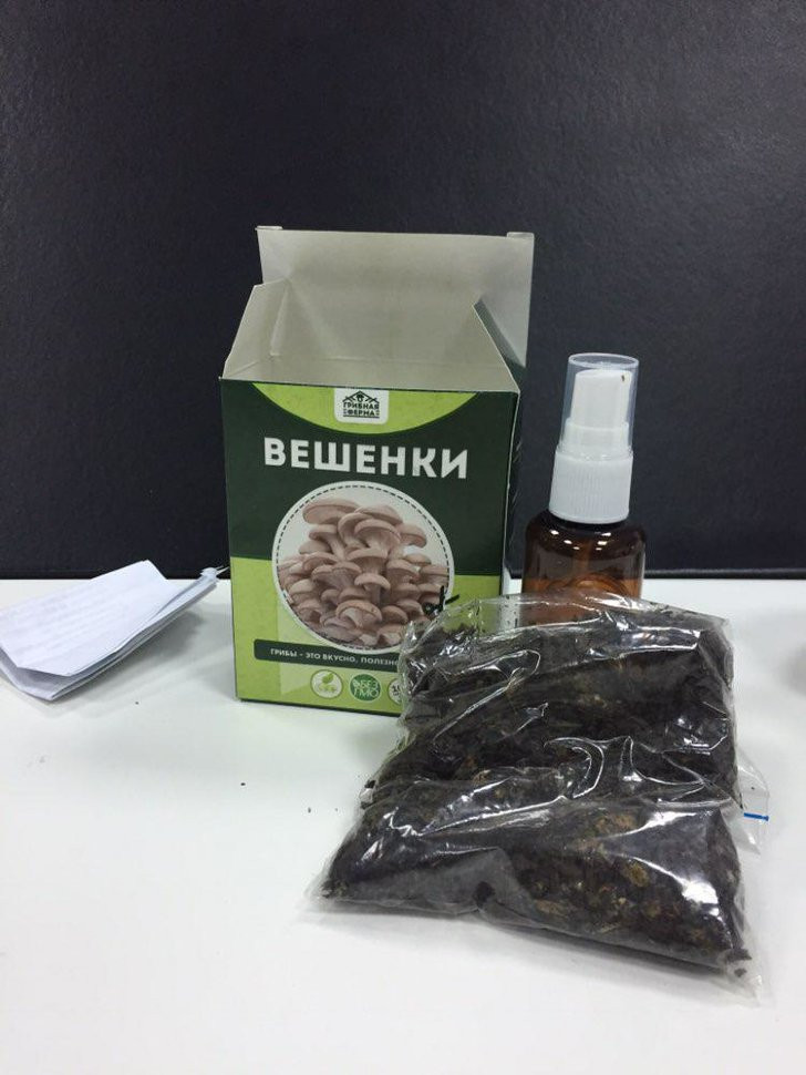 Домашняя грибница в Череповеце в Череповеце