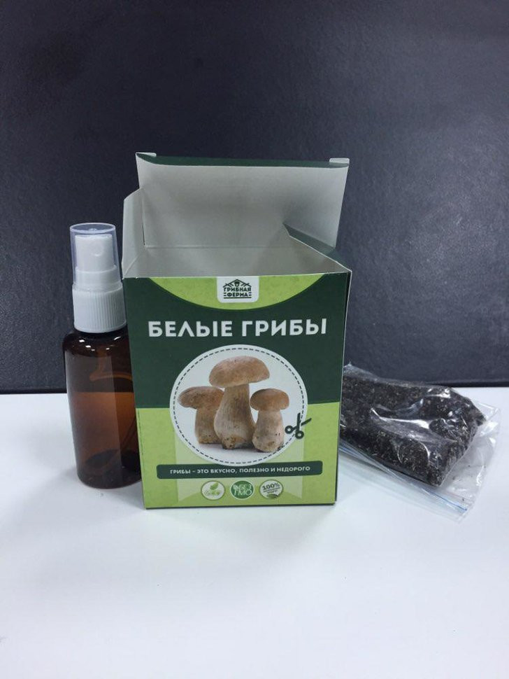 Домашняя грибница в Череповеце в Череповеце