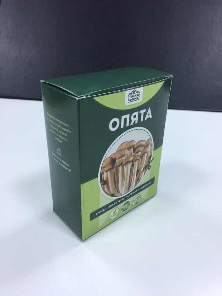 Домашняя грибница в Череповеце в Череповеце