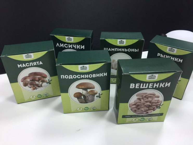 Домашняя грибница в Череповеце в Череповеце