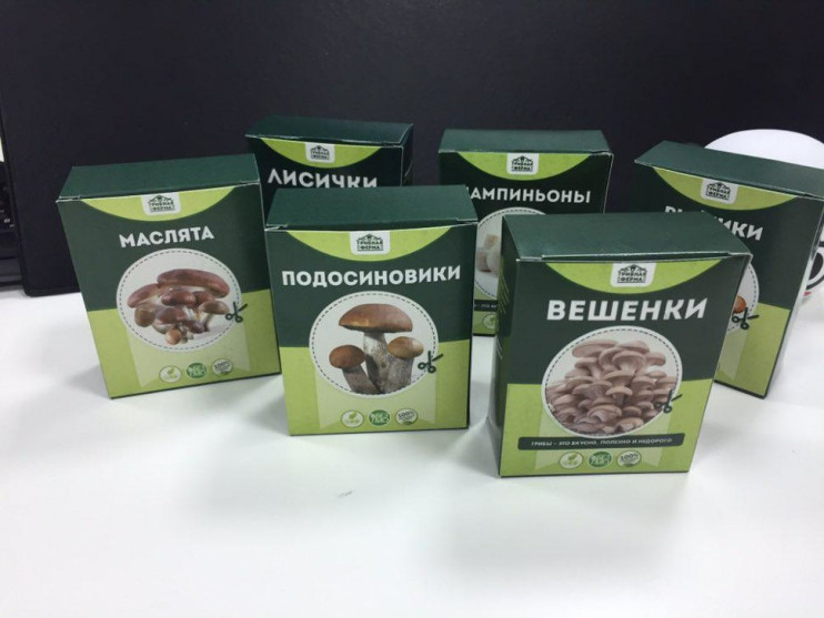 Домашняя грибница в Череповеце в Череповеце