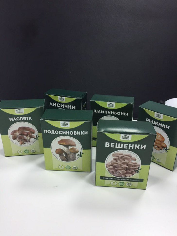 Домашняя грибница в Череповеце в Череповеце