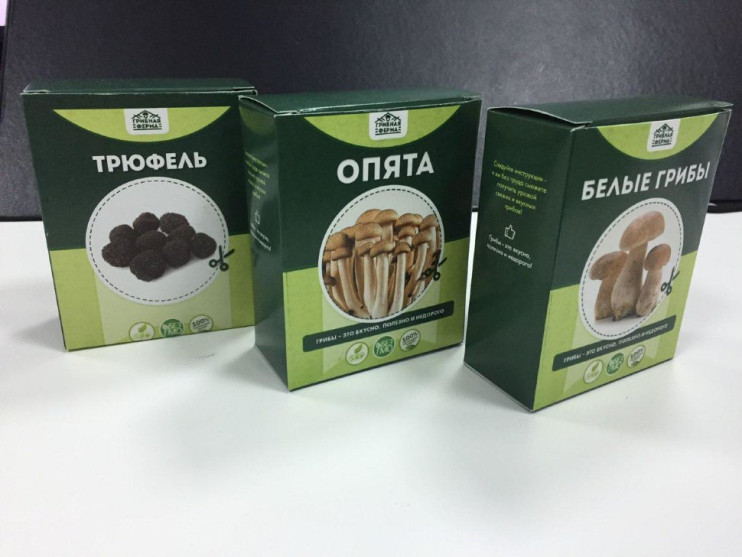 Домашняя грибница в Череповеце в Череповеце
