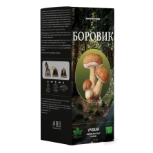 Домашняя грибница Боровик