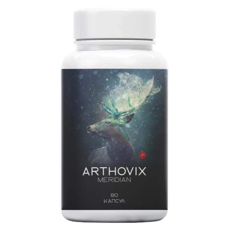 Arthovix Meridian в Череповеце в Череповеце