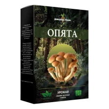 Домашняя грибница Опята