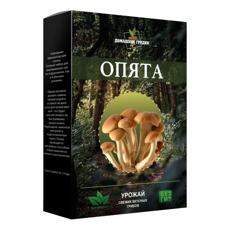 Домашняя грибница Опята в Череповеце в Череповеце