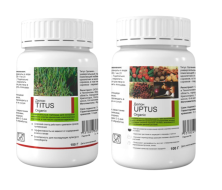 Titus и Uptus