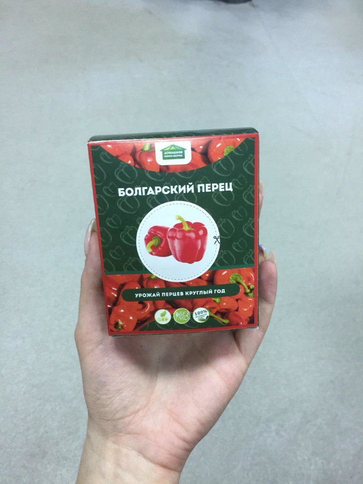 Домашняя мини-ферма в Москве