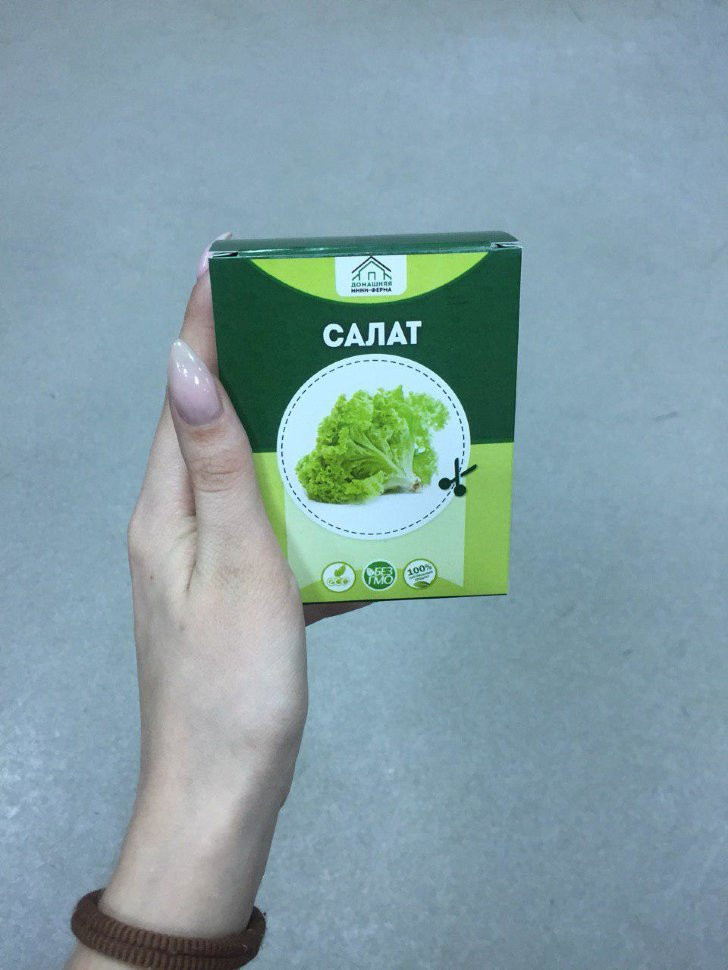 Домашняя мини-ферма в Москве