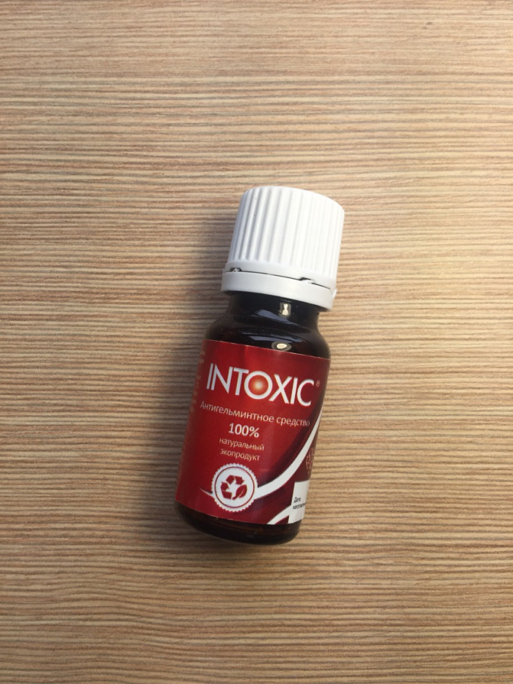 Intoxic в Омске