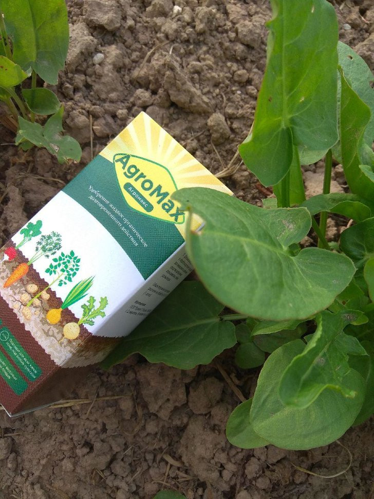 АгроМакс в Москве в Москве