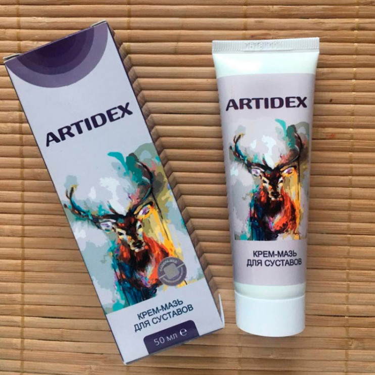 Artidex в Вологде