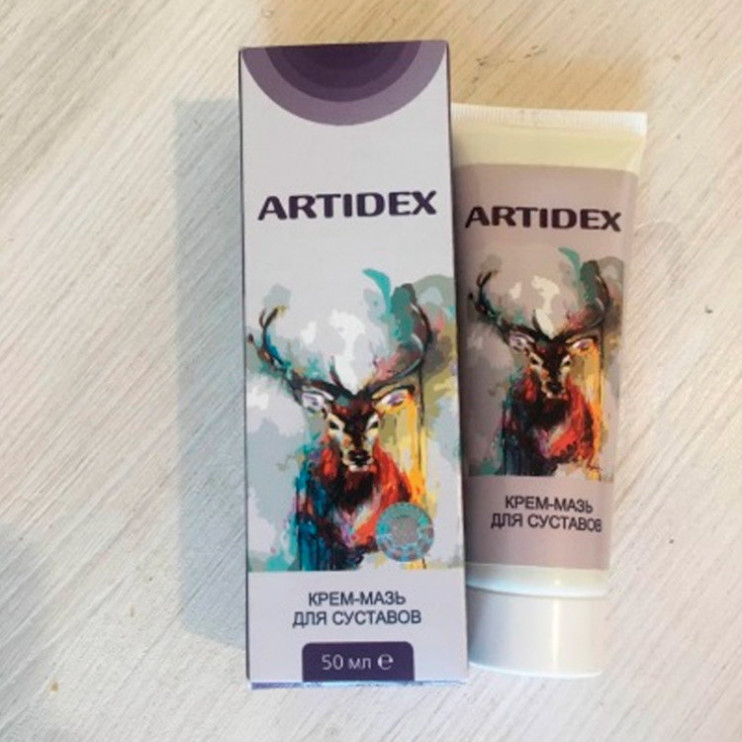 Artidex в Вологде