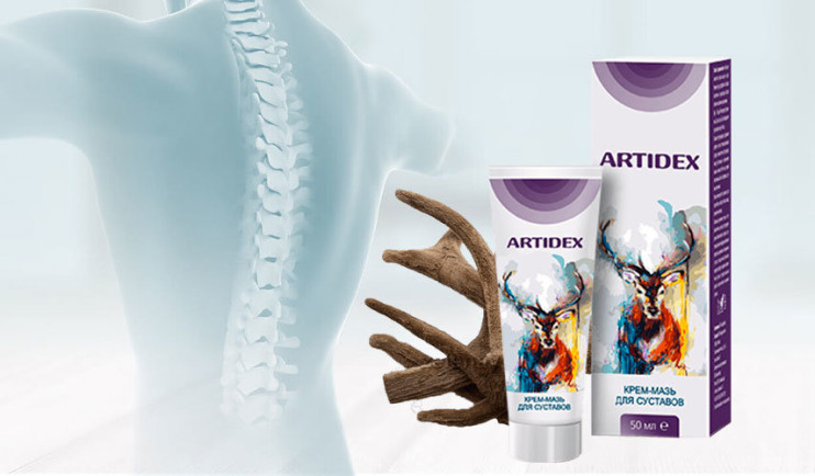 Artidex в Вологде