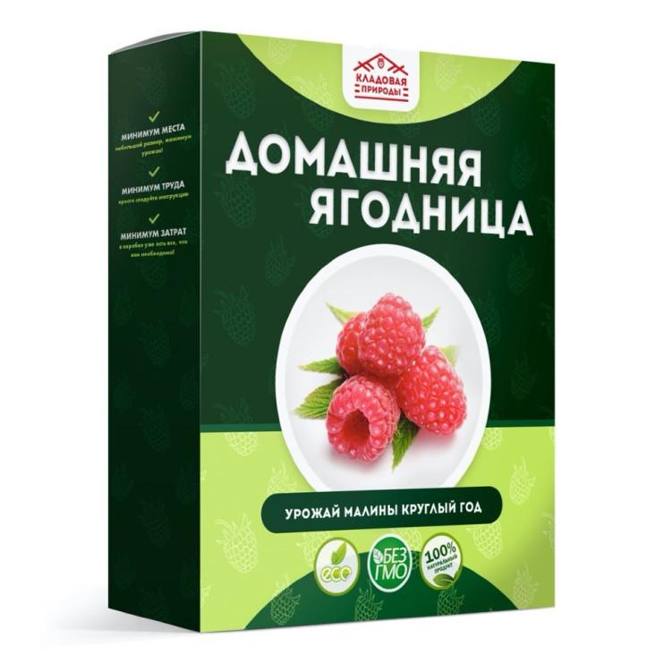 Домашняя ягодница в Москве