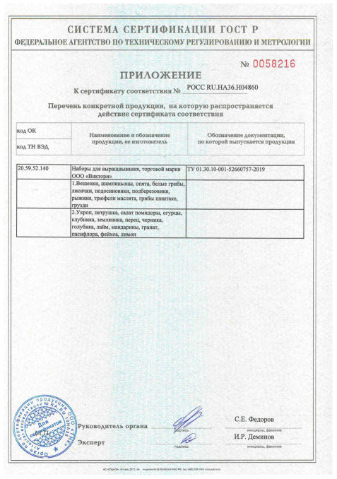 Домашняя ягодница в Москве