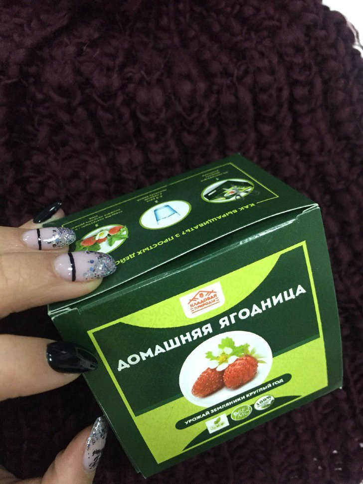 Домашняя ягодница в Москве