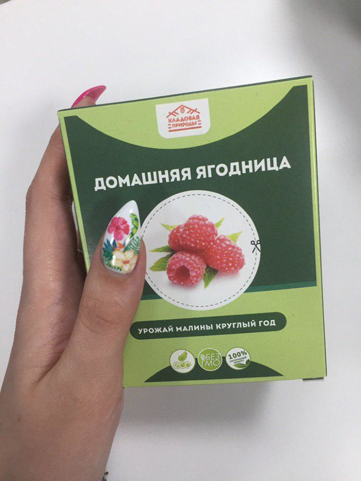 Домашняя ягодница в Москве