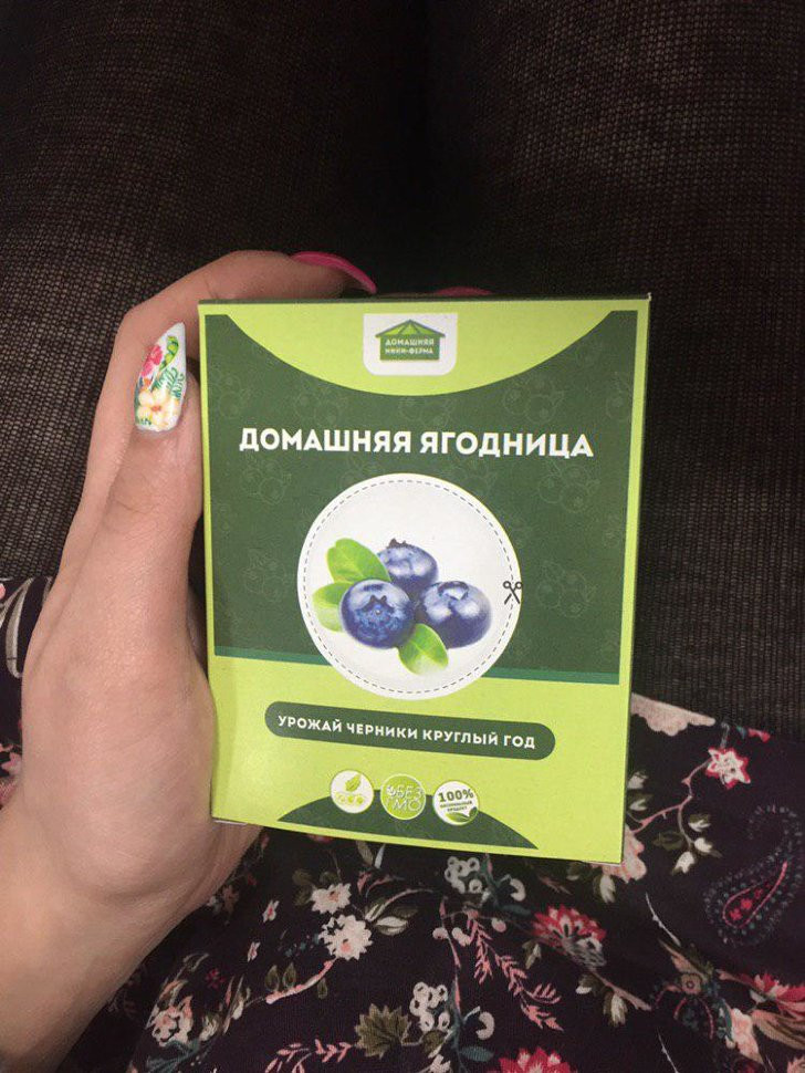 Домашняя ягодница в Москве