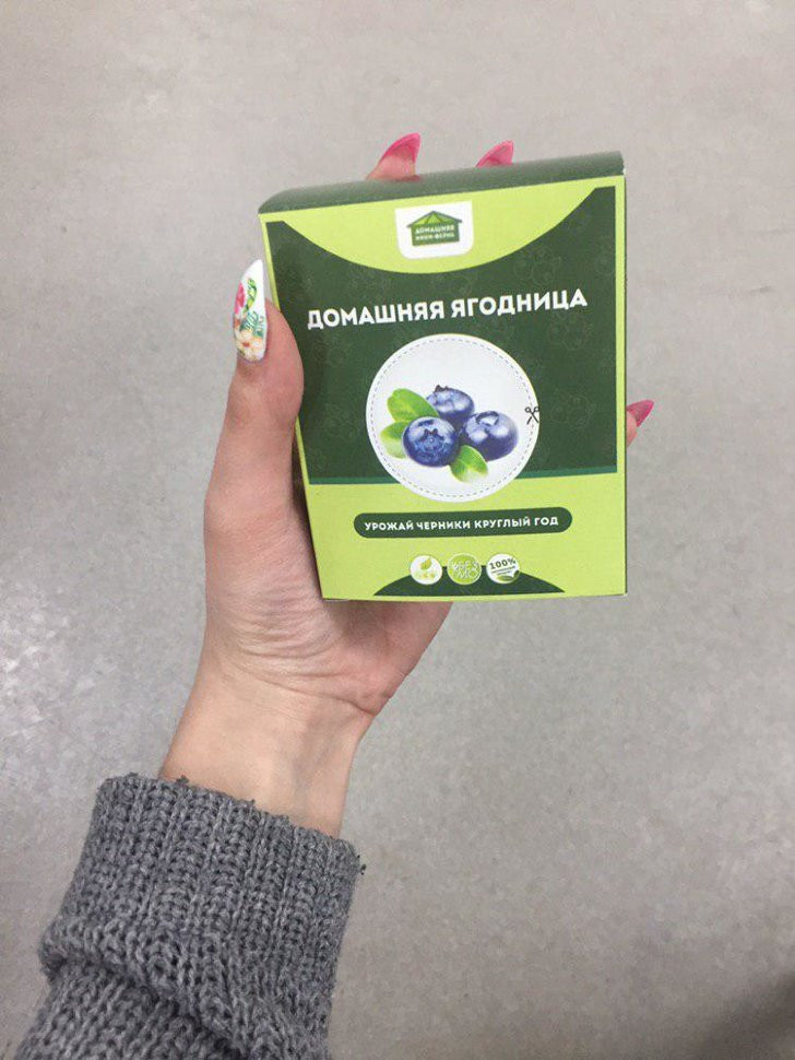 Домашняя ягодница в Москве