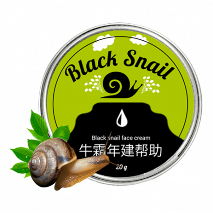 Black Snail в Санкт-Петербурге