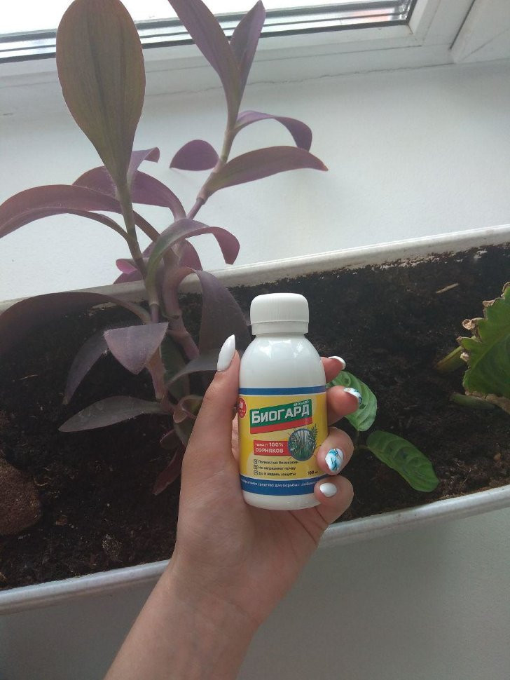 Биогард в Москве в Москве