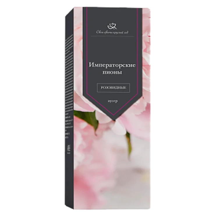 Императорские пионы в Череповеце в Череповеце