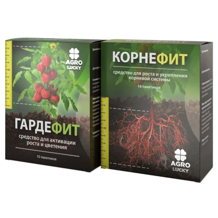 Корнефит и Гардефит в Туле