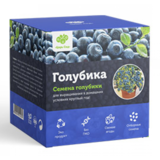 Голубика Денис Блю в Новосибирске в Новосибирске