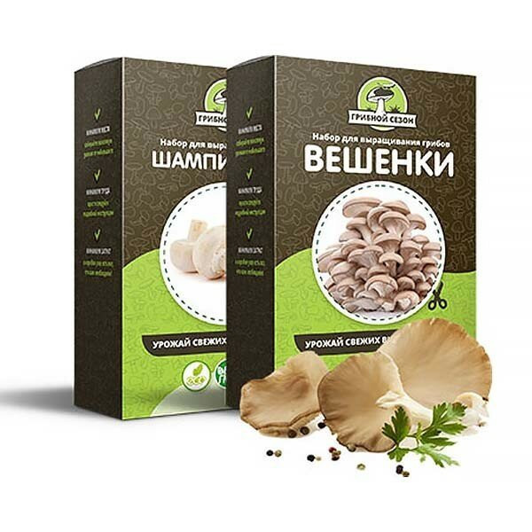 Домашняя грибница в Москве в Москве