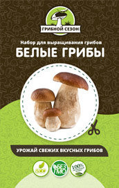 Домашняя грибница в Москве в Москве