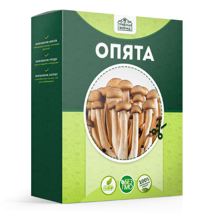 Домашняя грибница в Москве в Москве