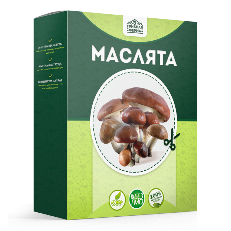 Домашняя грибница в Москве в Москве