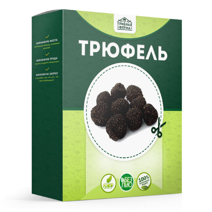 Домашняя грибница в Москве в Москве