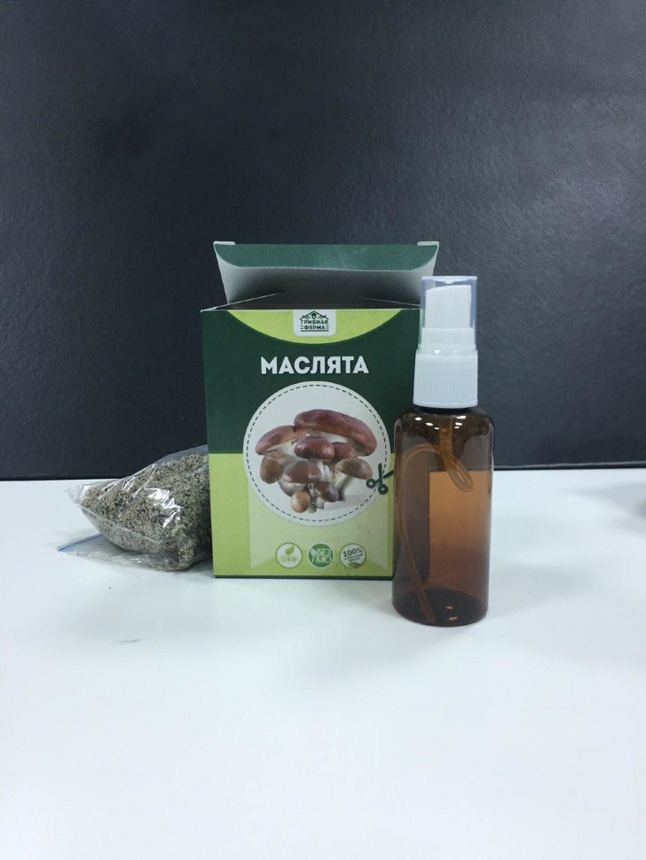 Домашняя грибница в Москве в Москве