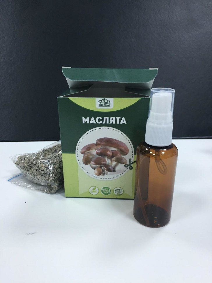 Домашняя грибница в Москве в Москве