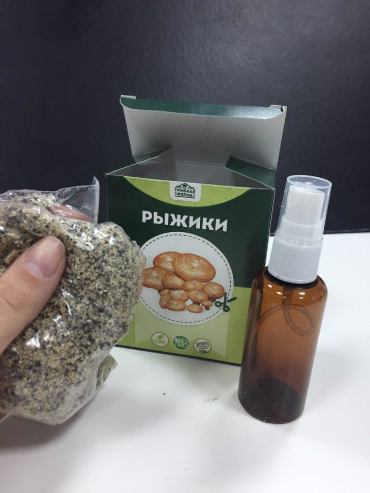 Домашняя грибница в Москве в Москве